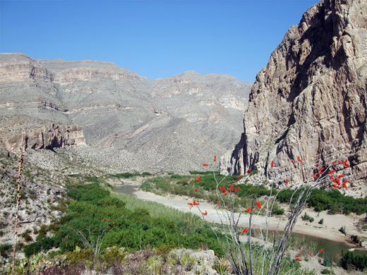 Big Bend National Park - Marufo Vega Trail